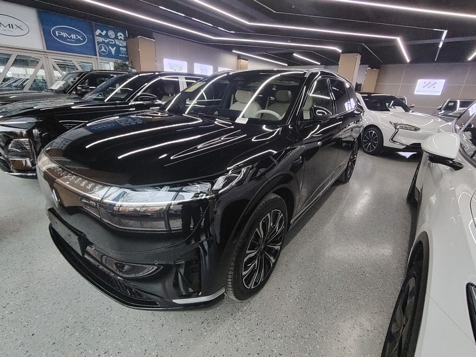 Dongfeng EP 008 Max Gibrid