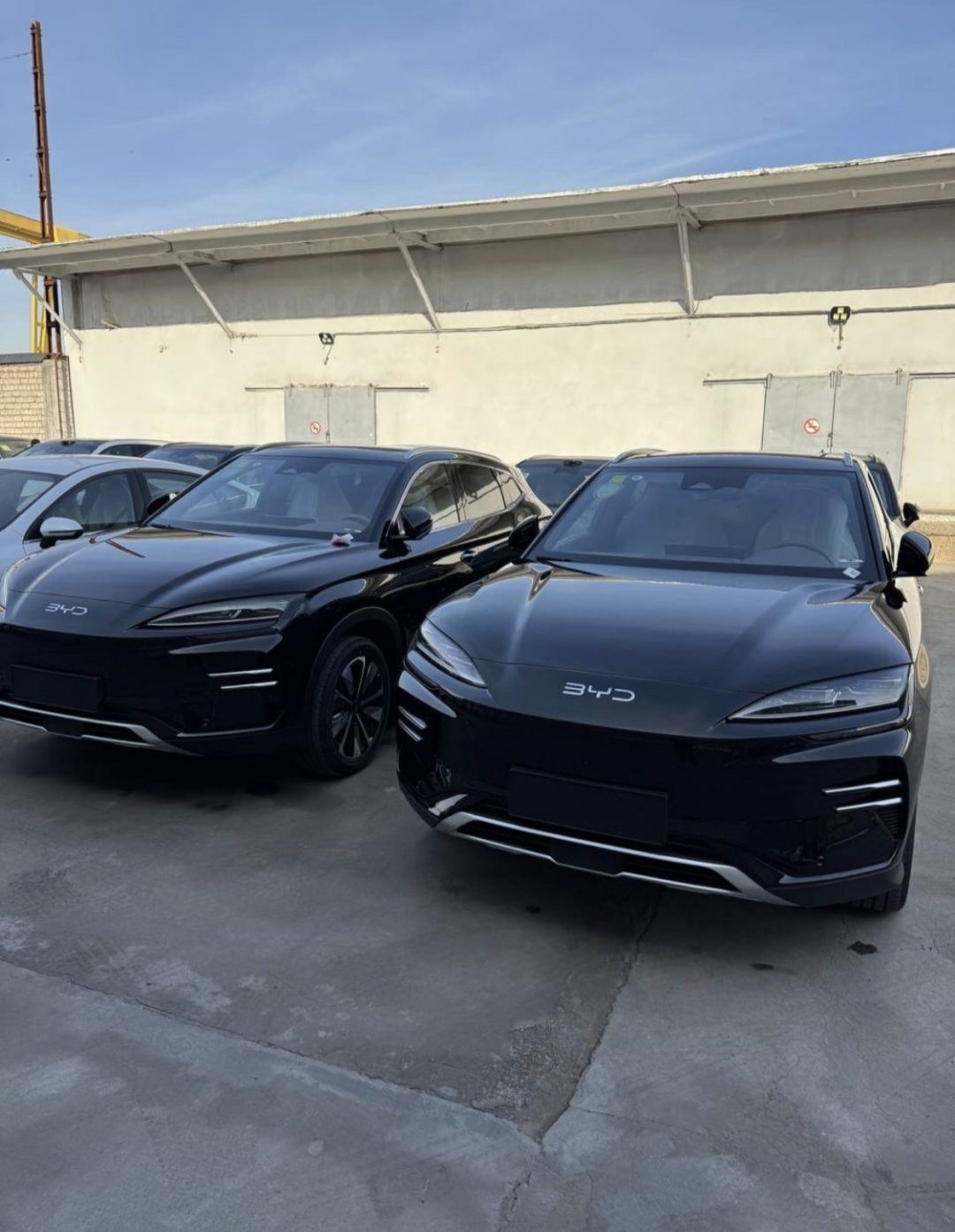 Byd Champion Smart   Натариус га таййор 25-25 Qora 605 Restailing