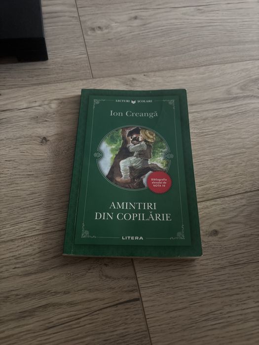 Amintiri din copilarie
