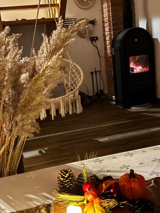 Cabana de inchiriat cu minipiscina inclusa, Pet friendly