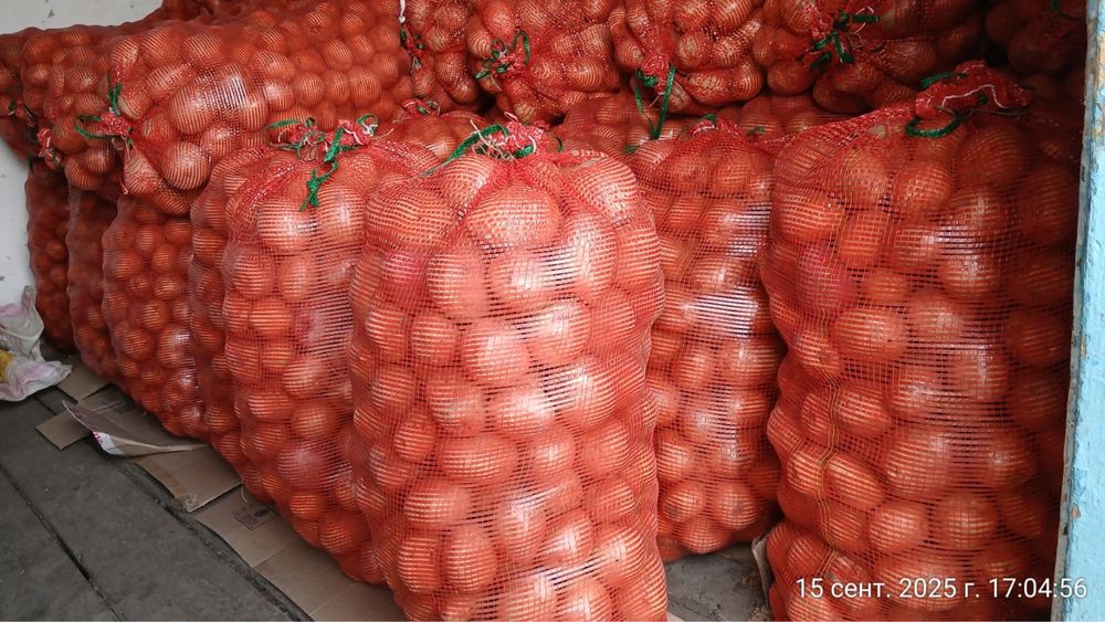 Продам картофель мешками