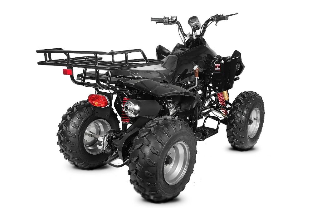 Atv Akp ProFex Warrior Chamo 150cc Automat Import Germania 2022