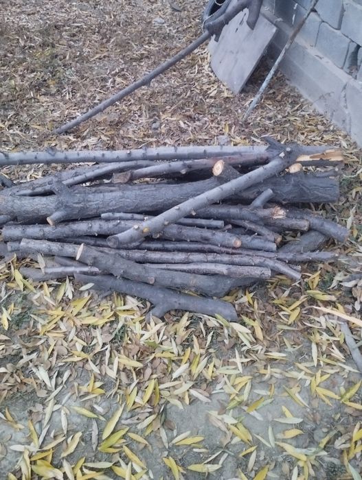 Продам дрова обрезки яблони ,сливы