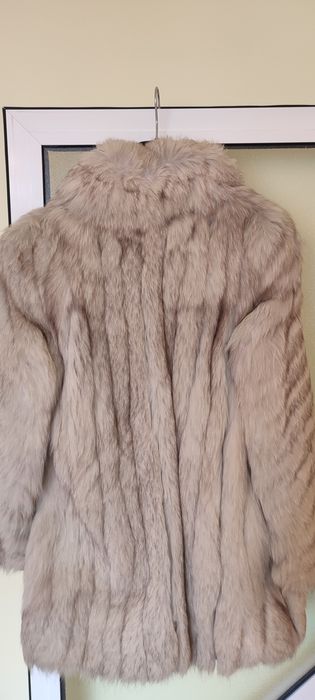 Blana de vulpe polara