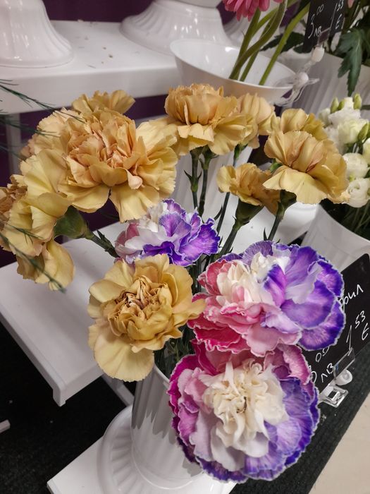 Букети и цветя в саксия за вашия дом и празник