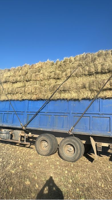 Продам сено  тюках  рулон