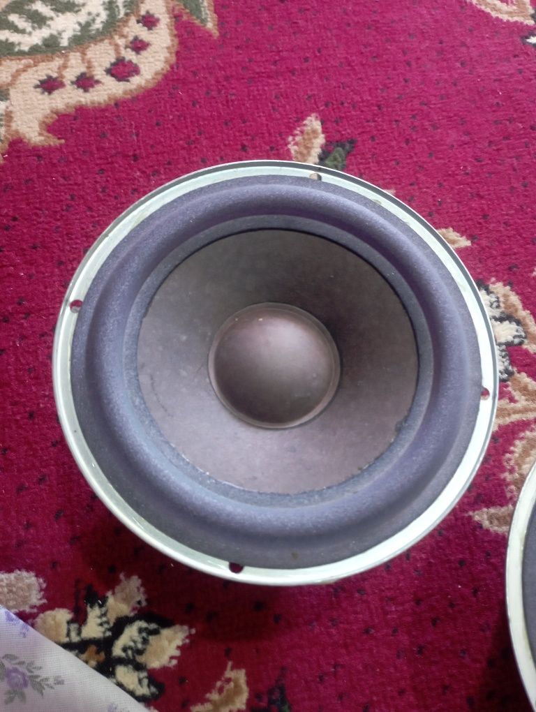 Muzikalni sentir LG kalonkalari faqat
