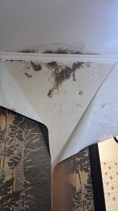 Ремонт после потопа / Устранение последствий залива