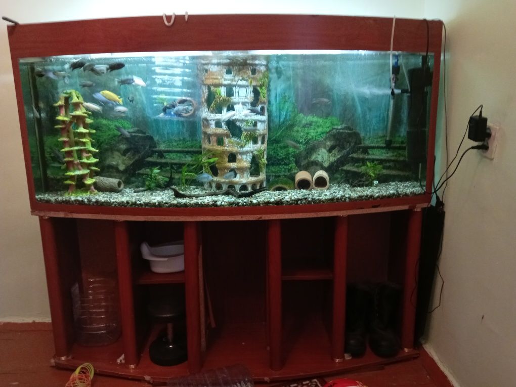 аквариум в комплекте