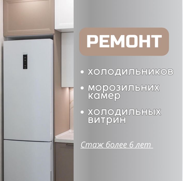 Ремонт холодильников/моразильников