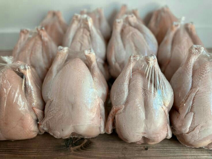 Продажа/ реализация мясо бройлера