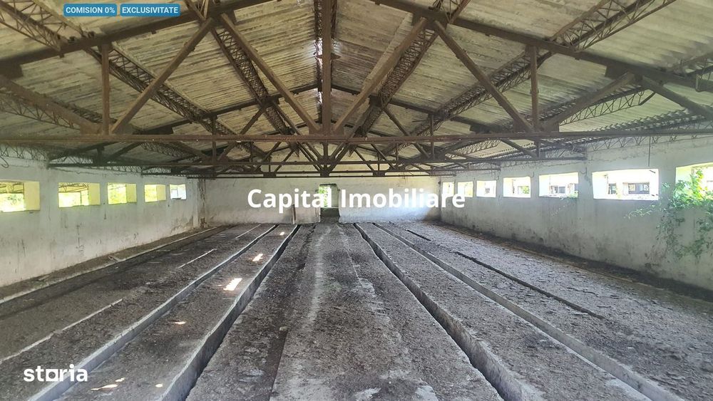 Teren 3.400 mp + 2 hale – Spațiu ideal pentru afacerea ta