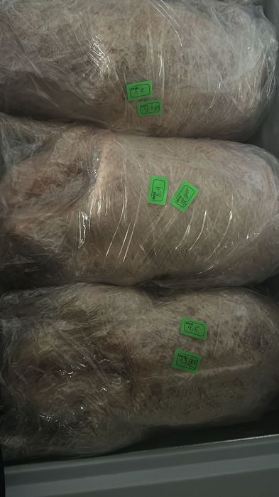 Продам гусей в ,гуси очень жирные