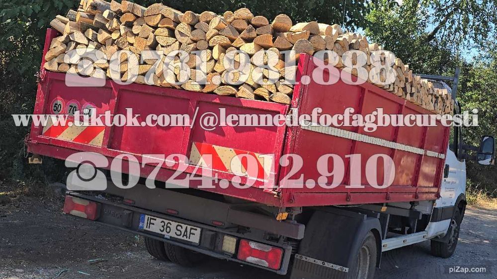 Cauti lemne de foc fag , vrac sau ambalate la plasa bigbag ?
