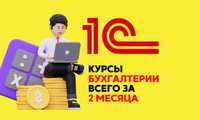 Бухгалтерия для начинающих: быстрый старт в Ташкенте!