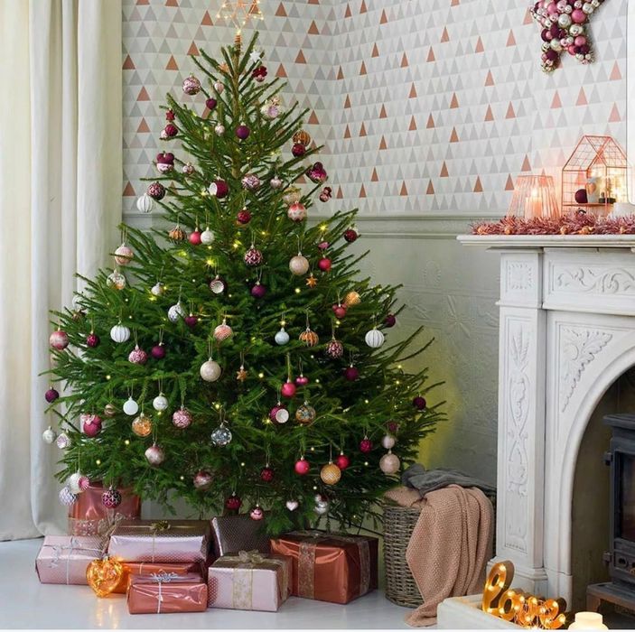 Ель новогодняя, с ароматом леса, ёлки оптом и в розницу, звоните!