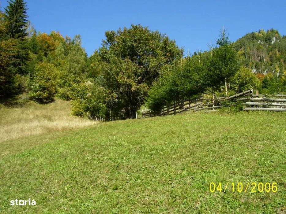 Teren Dambovicioara 6000 mp Ideal Investitie