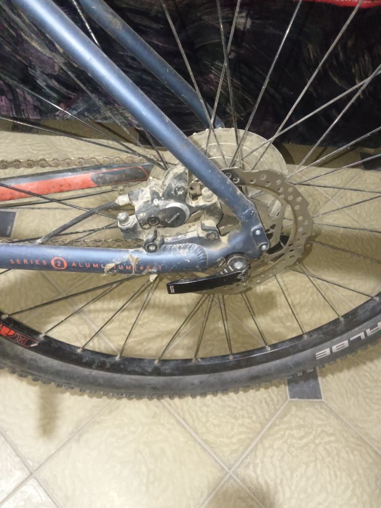 velosied marin 2023