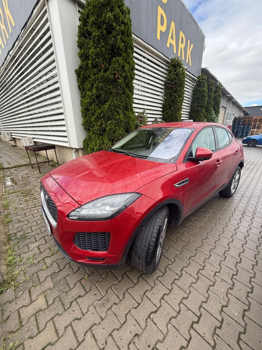 Jaguar e peace 2019