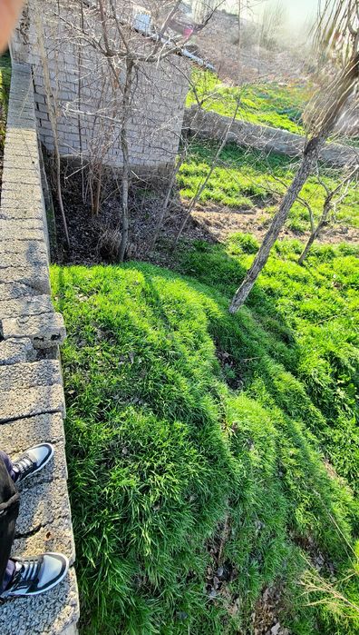 Yer sotiladi 3.5 sotix tez sotish