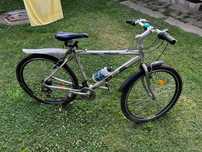 Bicicleta adult in Berceni, PH