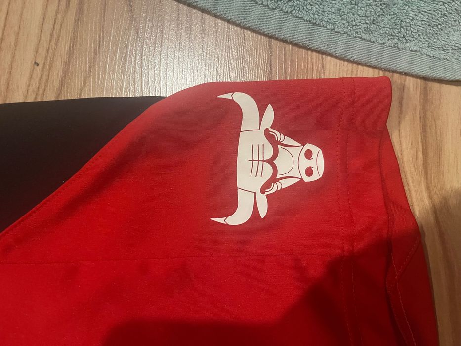 Мъжки баскетболни шорти Adidas Chicago Bulls