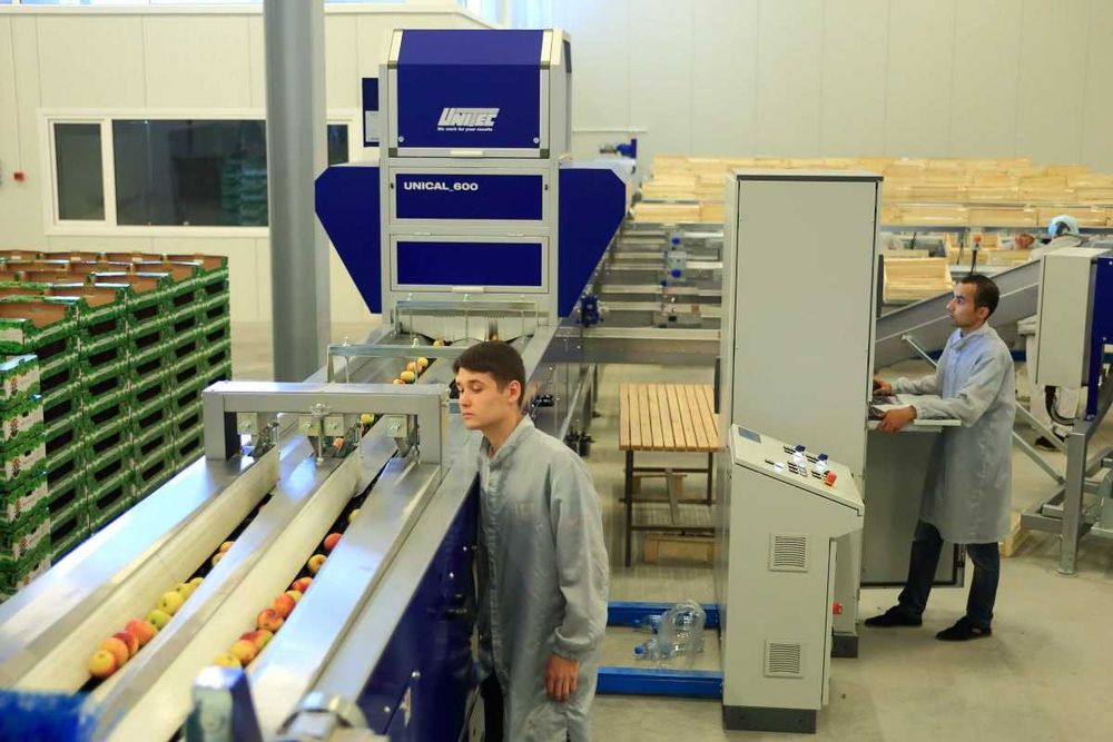 ПРОДАЁТСЯ Сортиров. и уп. линия UNICAL 600S OC. Unitec S.p.A (Италия)