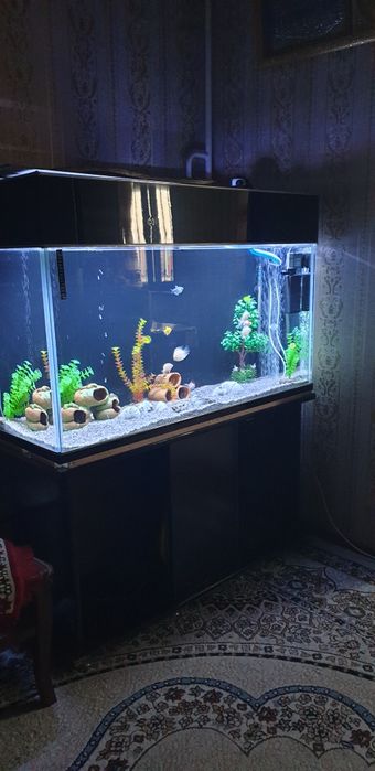 Akvarium 300 ltr