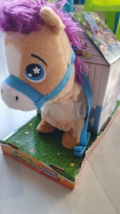 Calut interactiv Noriel nou