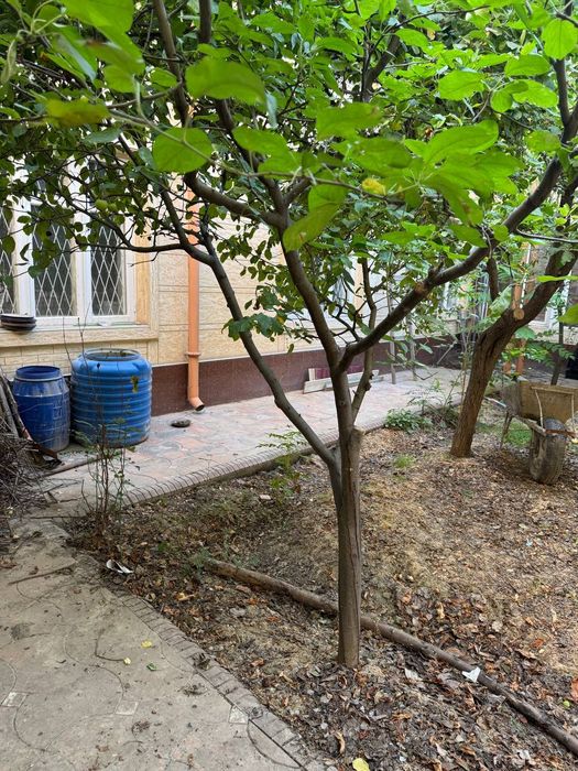 Hovli sotiladi uy o‘zimniki bez makler