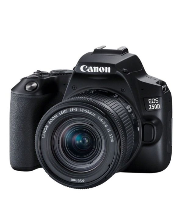 Фотокамера Canon EOS 250D EF-S 18-55 IS STM Kit