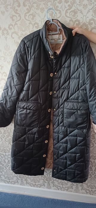 Ласаграда куркасы