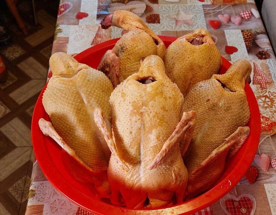 Rațe lesesti de vânzare