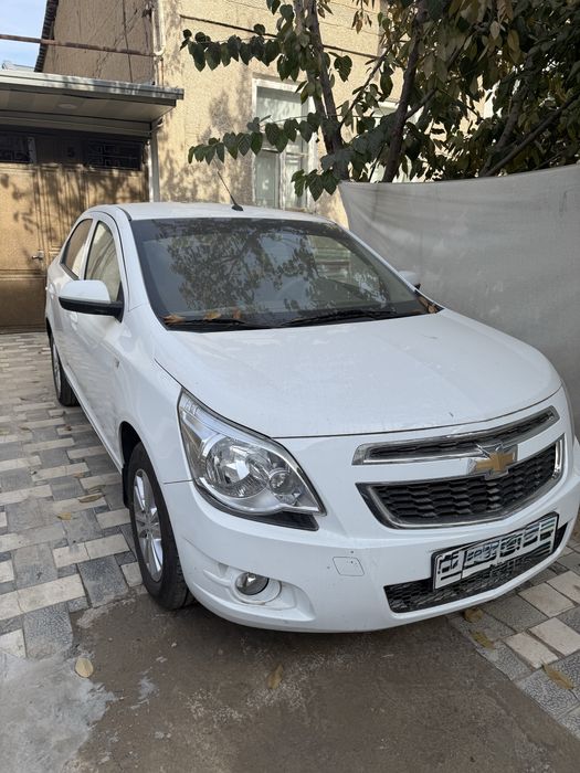 Kobilt aftamat 2024 yil toza prapan gazi bor