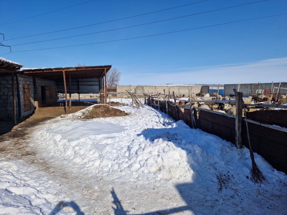 Продается фазенда