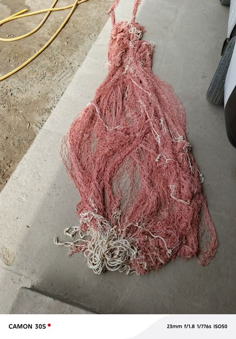 Baliq ovlash uchun toʻr