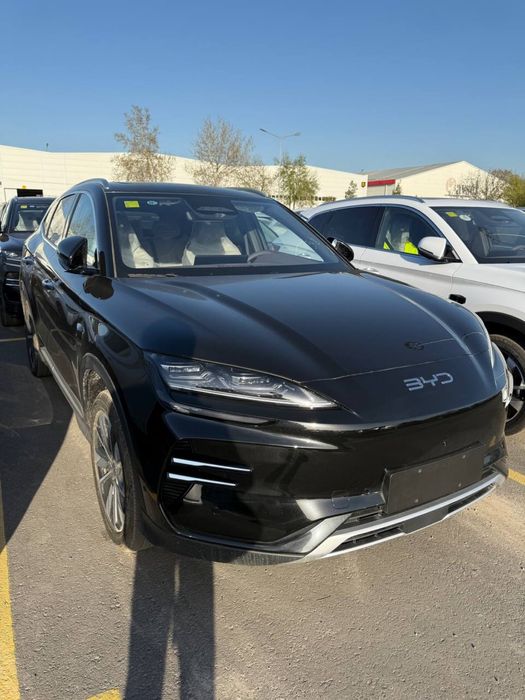 BYD chempion smart