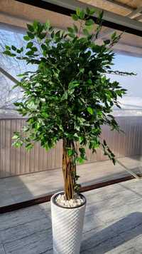 Фикус Бенджамина  Люкс, искусственное дерево на заказ