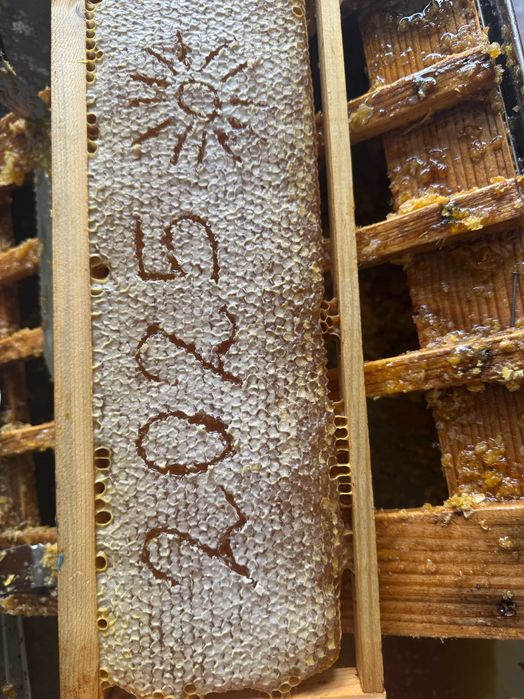 Натурален пчелен мед