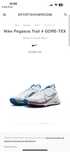 Nike Pegasus Trail 4 GORE-TEX