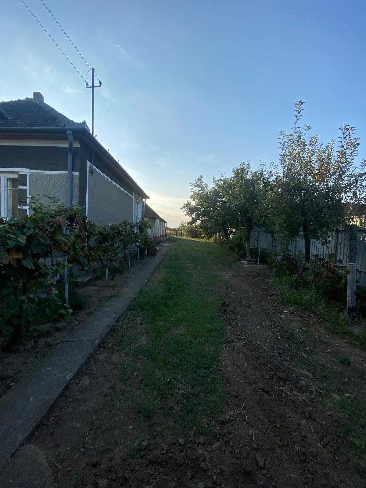 Casa de vanzare Gepiu