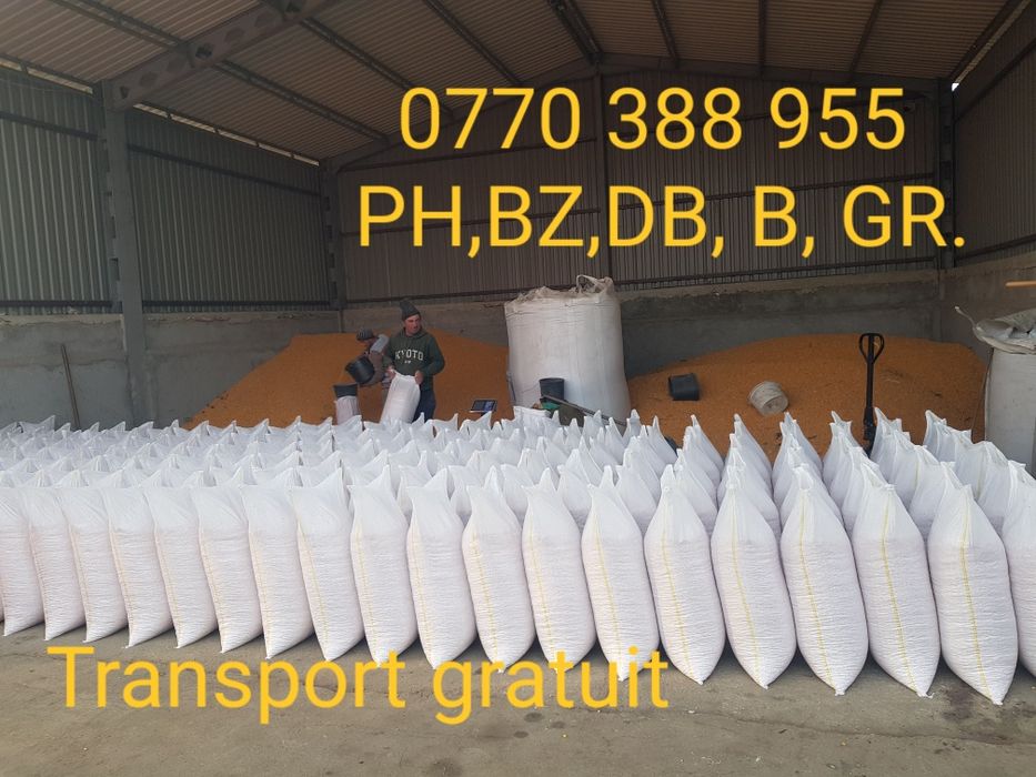 Porumb. Transport gratuit