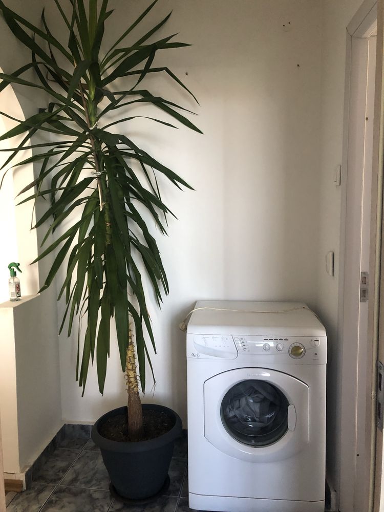 Apartament de inchiriat