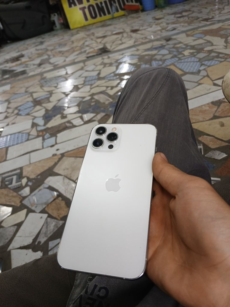 Apple 12 pro max