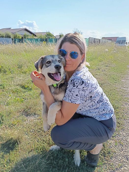 Adopție cățelușa tânără și mama ei