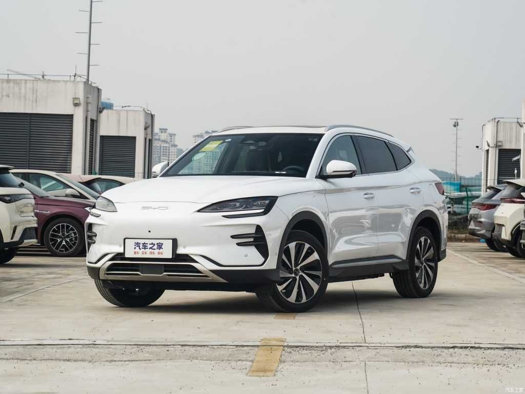 BYD Chempion 2024/25 White
