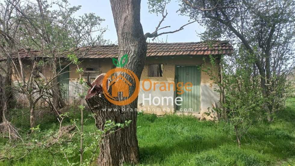 Продава се Къща в с. Змеево, Област Добрич - 100 кв.м за 245 €/кв.м - Снимка #3
