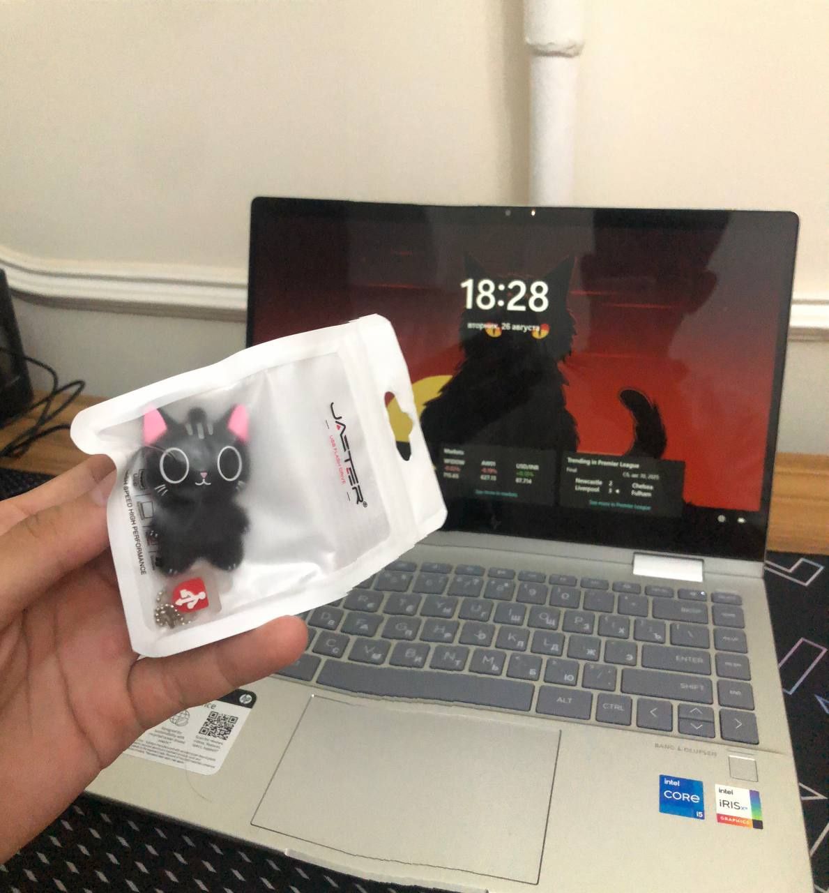 Usb флешка, милыей лапки, и котика