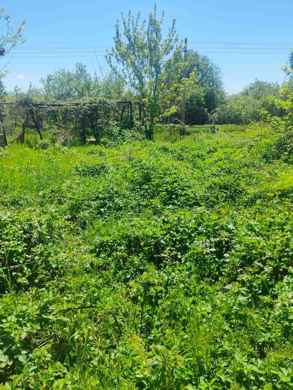 Продава едноетажна къща