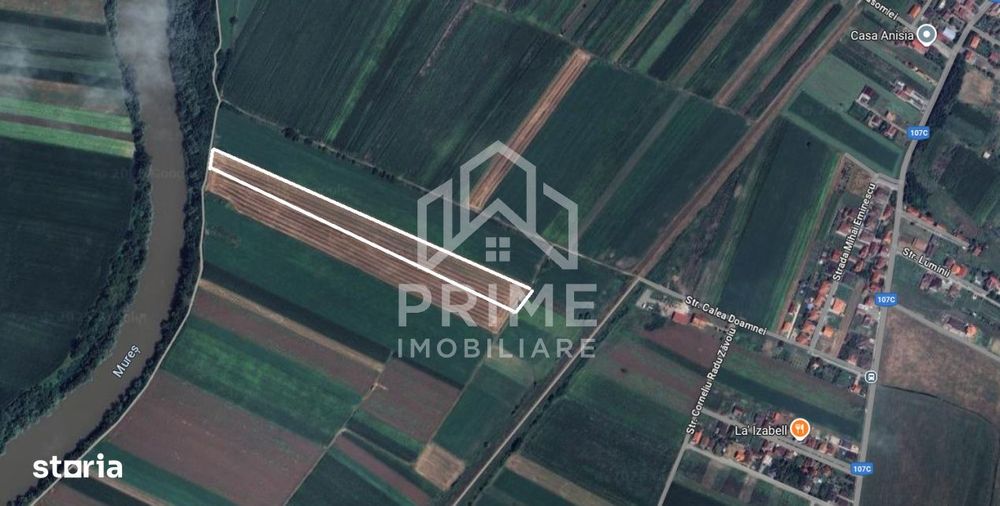 Teren Intravilan 7500 Mp - Ciugud